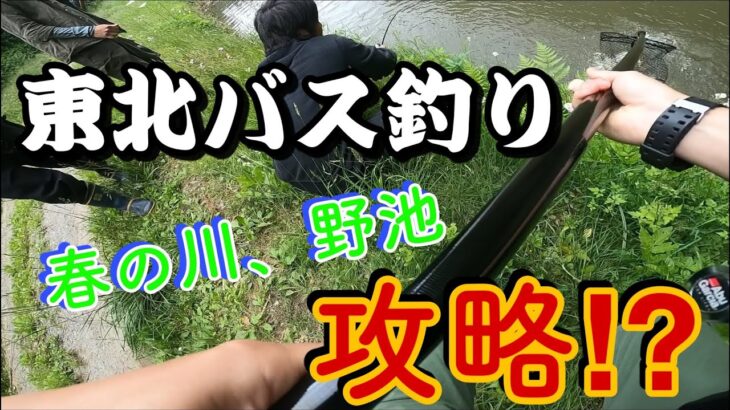 【バス釣り】《攻略法!?》東北の川、野池のブラックバスを探せ！！