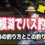 相模湖のブラックバス釣り　定番の釣り〜究極のヒット