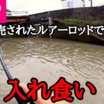 【水路】ダイソーロッド、ええやん。