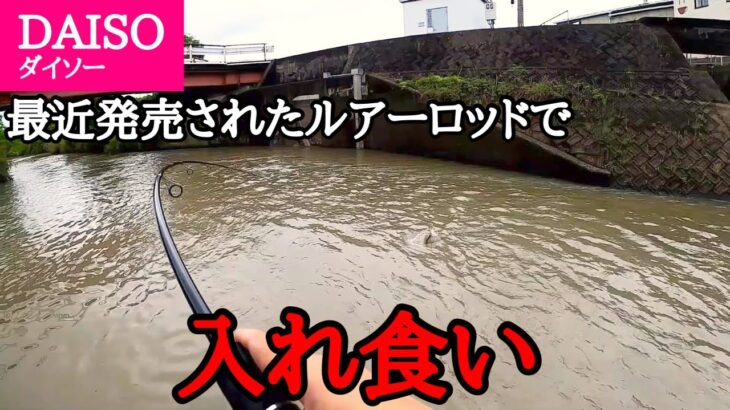 【水路】ダイソーロッド、ええやん。