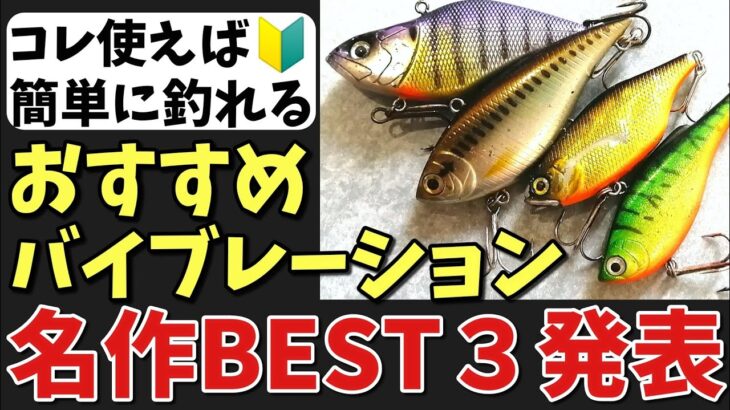 【バス釣り】おすすめの爆釣バイブレーション発表します【名作ルアー】