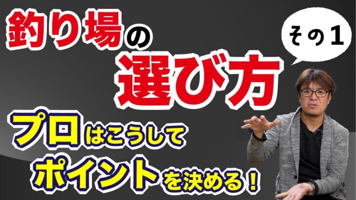 村岡流、シーバスポイントの選び方。その１