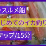 【ヤリイカ】はじめてのイカ釣り４ステップ【スルメイカ】