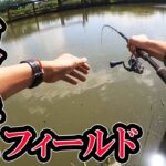 【バス釣り】油ヶ淵でルアーをちょんちょんしてたら釣れた！！