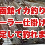 【函館イカ釣り】テーラー仕掛けが安定して釣れます