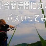 【シーバス】釣女がのんびりシーバス釣りに行ってみた　④