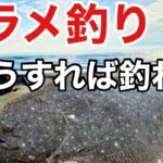 【サーフヒラメ】朝マズメにミノーで誘っていたら、、本当は教えたくないバラシが無くなる方法！？バラシの数だけ強くなれる【切望】