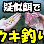 【検証】「このルアーはエサ！」は本当なのか？【バス釣り】