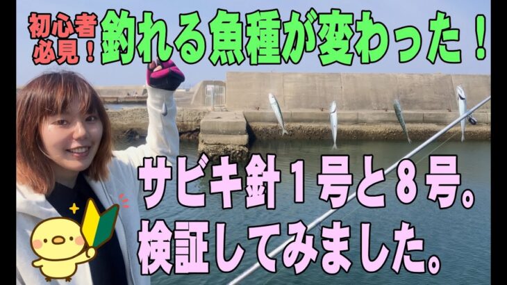 【サビキ釣り】サビキ針１号と８号を検証してきました☺【釣り初心者】