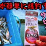 【サビキ釣り】リールを使わない簡単仕掛けでアジ大漁‼