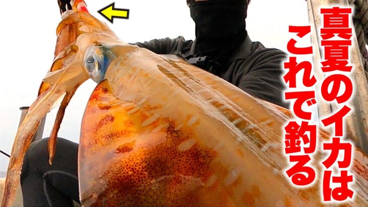 【漁師技】イカも魚も釣れる仕掛けで1.5kg超えのイカが喰い付いた！！【伊是名島イカ釣り】