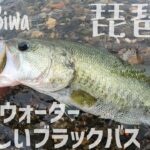 【琵琶湖バス釣り】クリアウォーターで50アップの美しいブラックバスを釣る！北湖西岸のディープゾーンからランカーバスが出現！ヘビキャロでブレイクを攻める！更にサカマタシャッド８インチでハス喰いバスを狙う