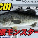 【池原ダム】66cmのモンスターバスが釣れてしまうルアーとは⁉︎正解はこちら【バス釣り】【ノーカット】bassfishing day2