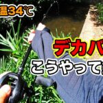 【夏のバス釣り】7月8月の野池でデカバスを釣る方法!!晴れた日中・昼間に狙い方について実践しみた【イモグラブ】【ドライブクロー】【ダムリベンジ】【熱中症注意】