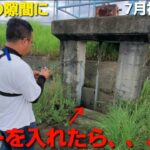 下水道の隙間のルアーを入れたら大変な事になった。【福岡バス】【遠賀川】【今川】【夏バス釣り】【7月】【ブラックバス】【外来魚】【Vlog】