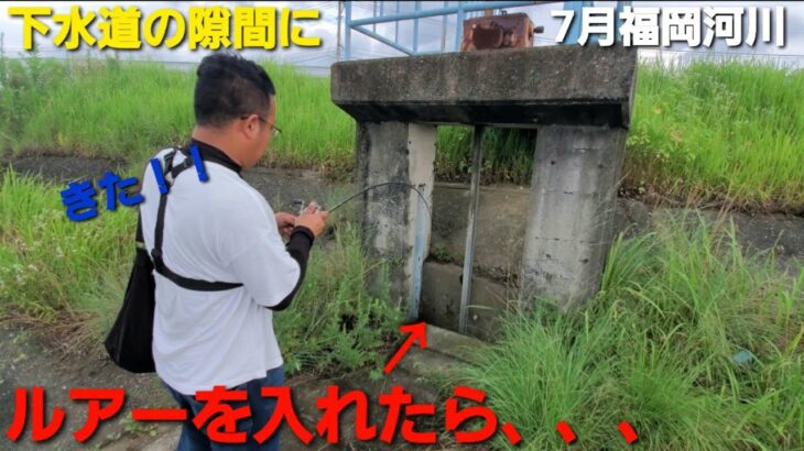 下水道の隙間のルアーを入れたら大変な事になった。【福岡バス】【遠賀川】【今川】【夏バス釣り】【7月】【ブラックバス】【外来魚】【Vlog】