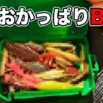 【バス釣り】7月のルアー・ワームのタックルボックス!!整理したのでバッグの中身もあわせて解説してみた【issei一誠】【フリルドシャッド】【ギルーラ】【梅雨】【アーリーサマー・初夏】