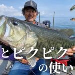 【バス釣り】”I字”と”ピクピク”の使い分け。線と点で広範囲を効率的に釣る方法 / 加藤誠司