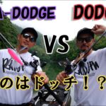 【VSシリーズ】 DEKA-DODGE VS DODGE [金森隆志][岡友成]