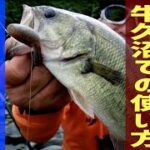 【バス釣り】ゲーリーヤマモト「ヤマタヌキで牛久沼攻略」【ブラックバス】