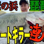 悪魔の浜で連発させるルアーがやばい【琵琶湖バス釣り】【デプス】