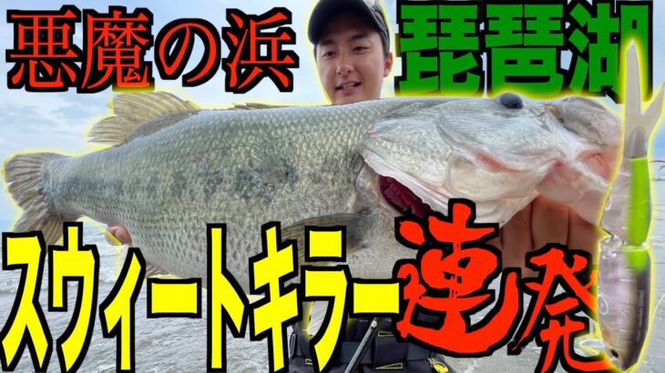 悪魔の浜で連発させるルアーがやばい【琵琶湖バス釣り】【デプス】