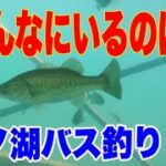 芦ノ湖バス釣り　真夏の芦ノ湖でバスを追う