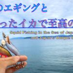 至高の晩酌を求めてエギングでイカ釣りしてきた。千葉県エギング