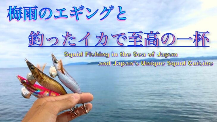 至高の晩酌を求めてエギングでイカ釣りしてきた。千葉県エギング