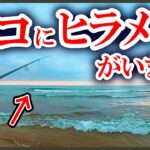 サーフ釣りで狙うべきポイントにルアーを投げるとすぐにヒラメが…