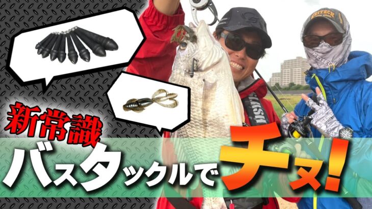 【新常識】バスタックルでチヌを真剣に狙ってみた