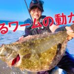 ヒラメが釣れるワームの動かし方！マゴチや青物も！タックルまでしっかり解説します！【サーフヒラメ】