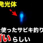 良型アジが怒涛の連発。夜寄るサビキの釣れっぷりがとんでもない件について