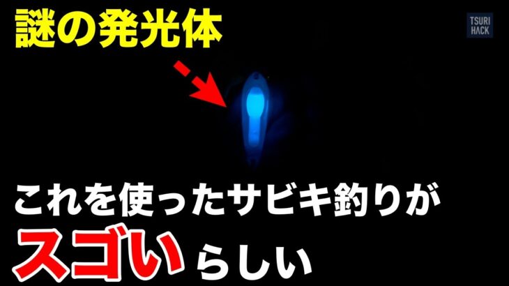 良型アジが怒涛の連発。夜寄るサビキの釣れっぷりがとんでもない件について