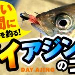 【夏のデイアジング】明るい時間にアジを釣る！誰でも簡単！ポイント選択とアクションのコツを解説