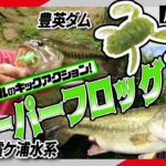 『リアルなカエルのキックアクション！《スクーパーフロッグ》を川村光大郎が霞ケ浦水系＆豊英ダムにて実釣解説！！』