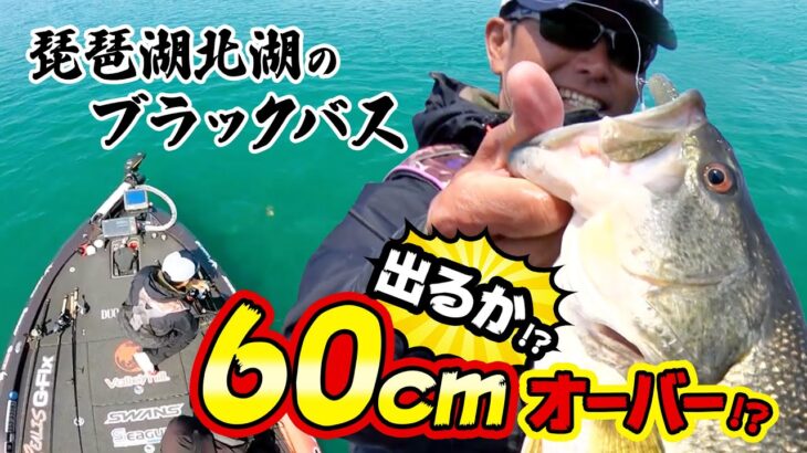 琵琶湖北湖のブラックバス　出るか60cmオーバー!?／釣り名人の秘密を暴け