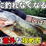 【バス釣り】8月真夏に釣れない理由は？おかっぱり攻略のコツと考え方やルアーワームの狙うポイントも徹底解説!!【サマーパターン】【2021】【野池・ダム・河川】