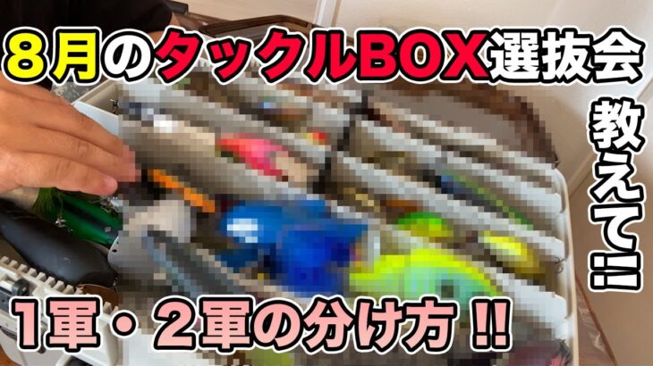 【夏のバス釣り】8月のルアー・ワームのタックルボックス!!整理したのでバッグの中身を１軍・２軍で分けてみた【マイクロダッジ】【スイッチベイト】【アンサー】【issei一誠】【RAID JAPAN】