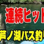 芦ノ湖バス釣り　ブラックバスが連続ヒット！　Bass fishing in Japan