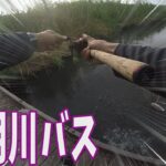 久しぶりに本明川にバス釣り行ってみた【バス釣り】【長崎】【本明川】