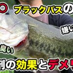 【バス釣り】ブラックバスの嗅覚・臭いってどうなってるの？集魚剤の効果や味・味覚についてもまとめてみた【巧漬け】【ノリーズ】【バイトバスリキッド】【アクアリキッド】