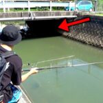 【バス釣り】道路横の怪しい水路にルアー投げまくったら熱すぎた！！！