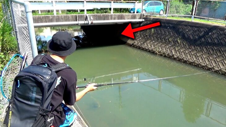 【バス釣り】道路横の怪しい水路にルアー投げまくったら熱すぎた！！！