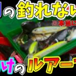 【バス釣り】８月は釣れない。それでも釣れるおすすめルアーです！