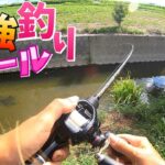 【釣りガール】この釣りガールマジでヤバい。モンスター連発？！【佐賀バス釣り】