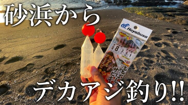 【砂浜で大型のアジが狙える】ぶっこみサビキの遠投で大アジが連発！［仕掛けの組み方も紹介］