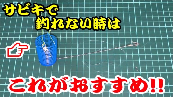 【サビキ釣り】渋い状況でもアジが釣れる仕掛けを紹介します！！　アジの他にもキスや根魚等を同時に狙うこともできます！！【天秤付きカゴ】【ダイソー釣具】【釣れない時】