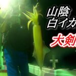 【オモリグ】山陰白イカ釣行。大剣連発したよ。