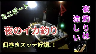 ミニボートで【夜のイカ釣り】夜釣りは涼しく快適!イカメタル!オモリグ!